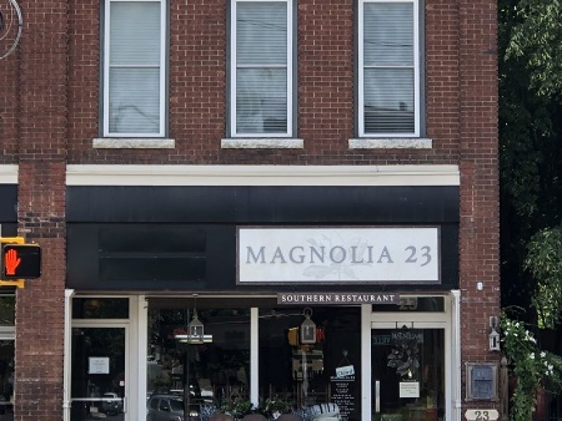 Magnolia 23